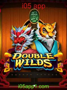 Explorando o Mundo de DoubleWilds: Um Guia Completo para i05 App